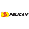 Pelican